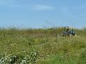 Picture 011